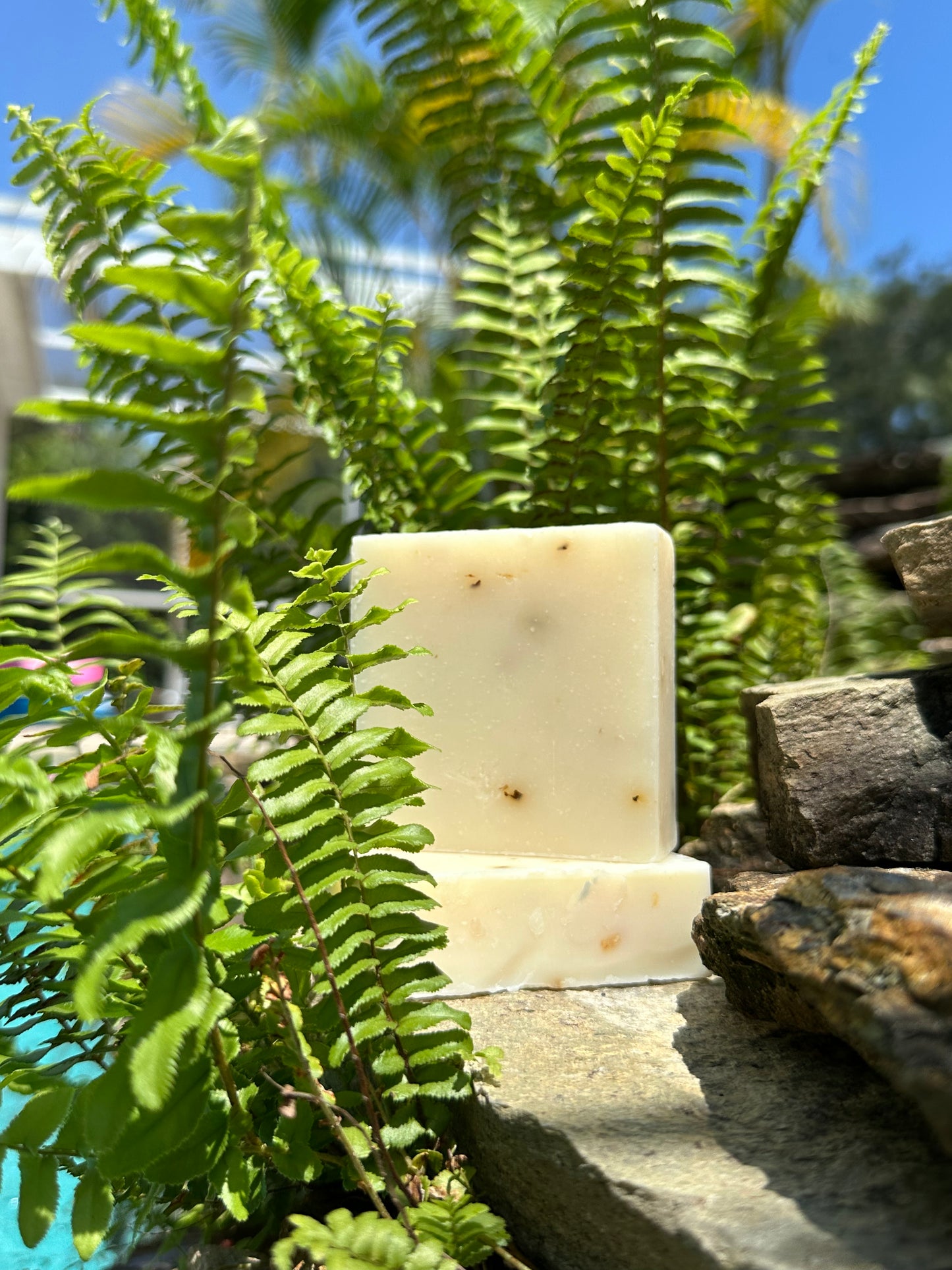 Eucalyptus Lavendar Goat Milk